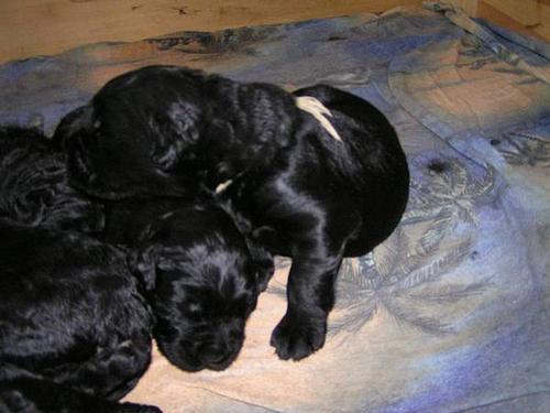 Click on the photo for the original