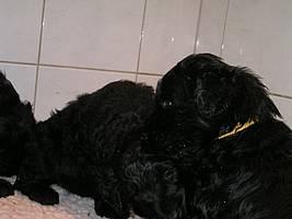 Click on the photo for the original