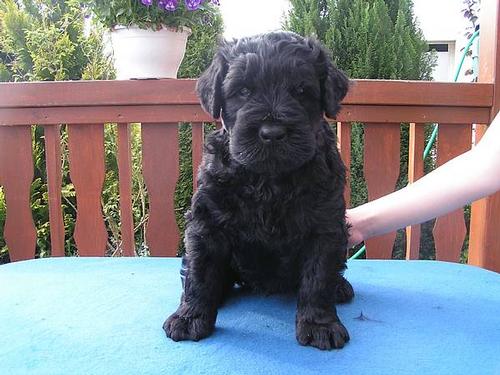 Click on the photo for the original