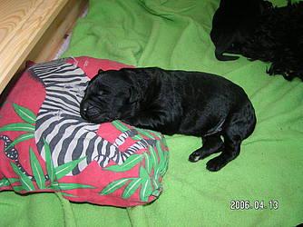 Click on the photo for the original