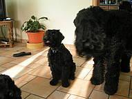 Click on the photo for the original