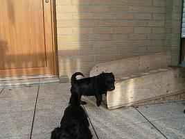 Click on the photo for the original