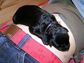 Click on the photo for the original