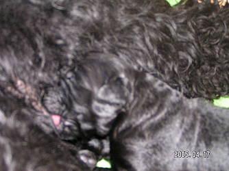 Click on the photo for the original