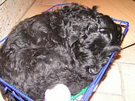 Click on the photo for the original