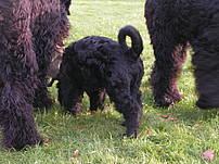 Click on the photo for the original