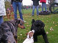 Click on the photo for the original