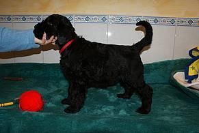 Click on the photo for the original