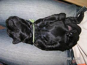 Click on the photo for the original