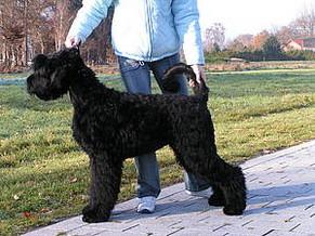 Click on the photo for the original