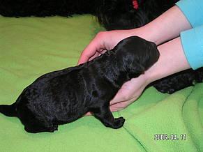 Click on the photo for the original