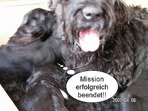 Click on the photo for the original