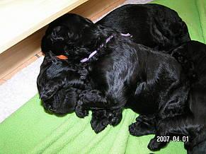 Click on the photo for the original