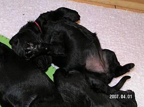 Click on the photo for the original