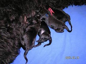 Click on the photo for the original