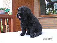 Click on the photo for the original