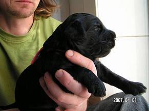 Click on the photo for the original