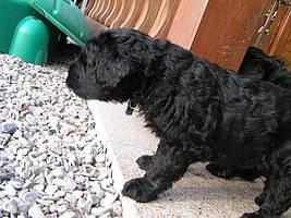 Click on the photo for the original