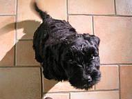 Click on the photo for the original