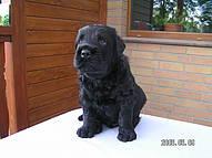 Click on the photo for the original