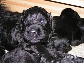 Click on the photo for the original