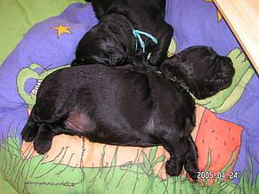 Click on the photo for the original