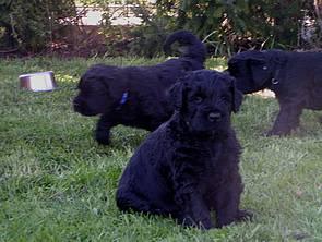 Click on the photo for the original