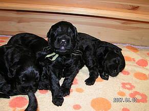 Click on the photo for the original