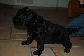 Click on the photo for the original