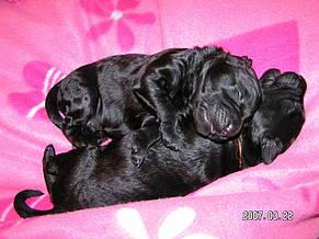 Click on the photo for the original