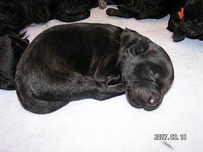 Click on the photo for the original