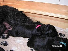 Click on the photo for the original