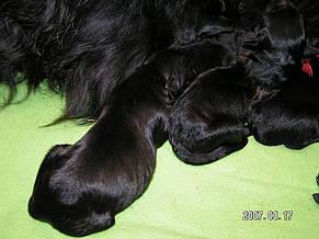 Click on the photo for the original