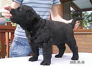 Click on the photo for the original