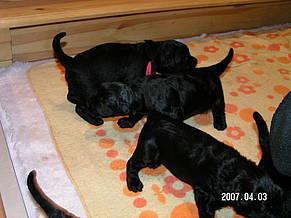 Click on the photo for the original