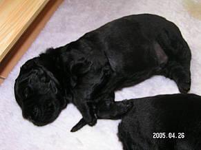 Click on the photo for the original