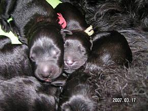 Click on the photo for the original