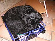 Click on the photo for the original