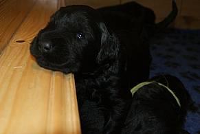 Click on the photo for the original