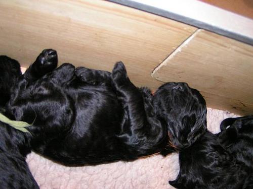 Click on the photo for the original