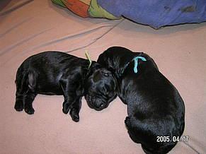 Click on the photo for the original