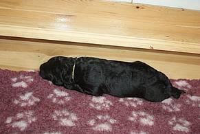 Click on the photo for the original