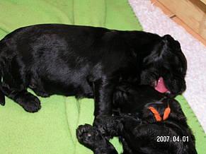 Click on the photo for the original