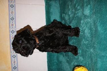 Click on the photo for the original