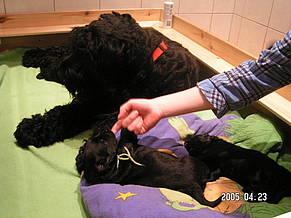 Click on the photo for the original