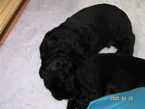 Click on the photo for the original