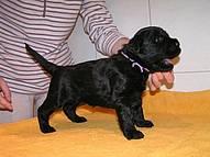 Click on the photo for the original