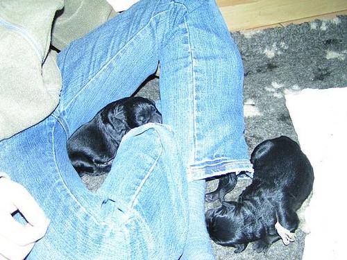 Click on the photo for the original