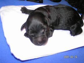 Click on the photo for the original