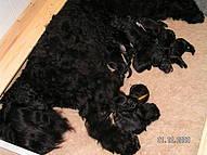 Click on the photo for the original